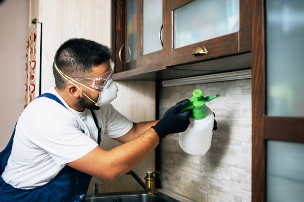 Best Residential Pest Control  in George, IA