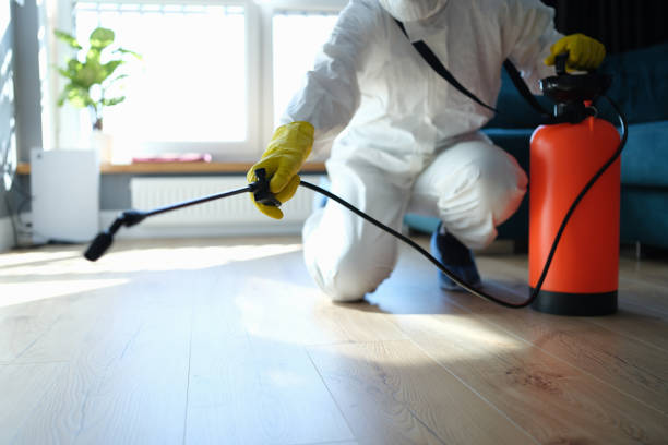 Best Pest Prevention Services  in George, IA