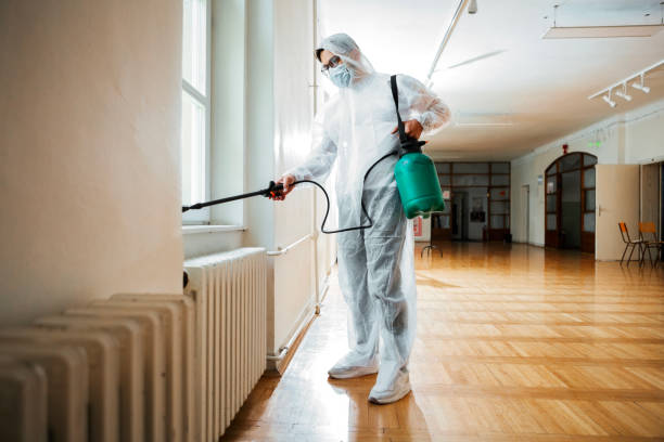 Best Pest Inspection Near Me  in George, IA
