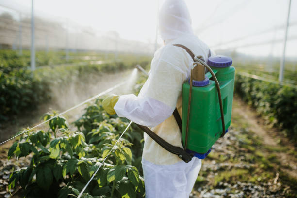Best Local Pest Control Services  in George, IA